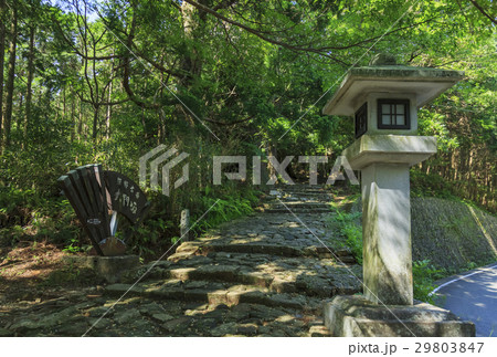 和歌山県・熊野古道・中辺路 大門坂 和歌山県・熊野古道・中辺路 大門坂 29803847