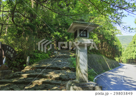 和歌山県・熊野古道・中辺路 大門坂 和歌山県・熊野古道・中辺路 大門坂 29803849