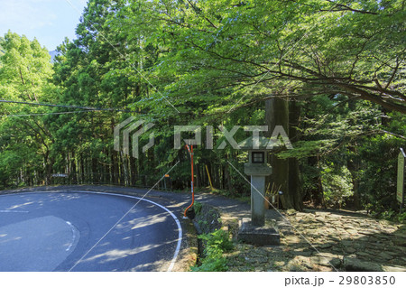 和歌山県・熊野古道・中辺路 大門坂 和歌山県・熊野古道・中辺路 大門坂 29803850