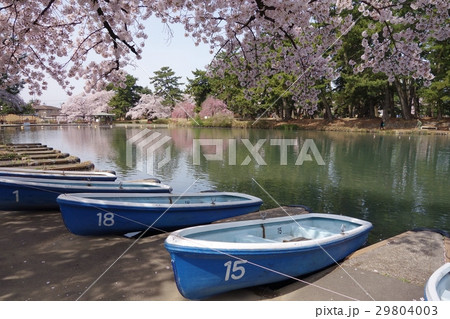 敷島公園 29804003