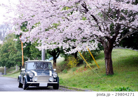ROVER MINI!! 春 29804271