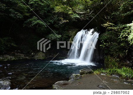 河津七滝の初景滝 河津七滝の初景滝 29807002
