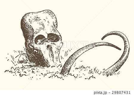 Stone age vector Caveman or troglodyte Stone age vector Caveman or troglodyte 29807431