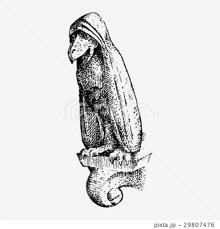 Gargoyle Chimera of Notre-Dame de Paris, engraved 29807476