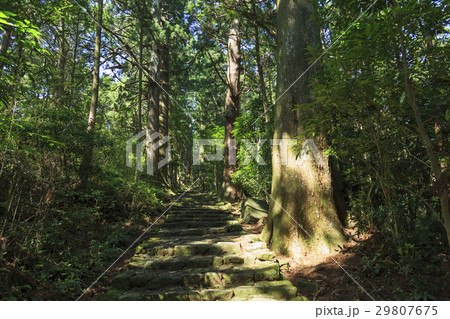 和歌山県・熊野古道・中辺路 大門坂 29807675