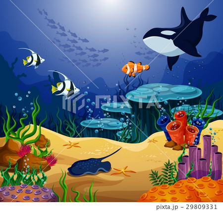Ocean or sea fish, killer whale and stingray 29809331