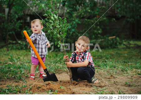 little funny boy with shovel in garden 29809909