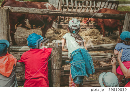 Children watching the cows fed on old farm Children watching the cows fed on old farm 29810059