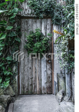 Wooden door in an old cottage 29810060