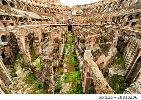 Arena Colosseum (Coliseum) in Rome 29810206