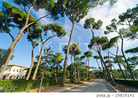 Beautiful park of Villa Borghese, Rome, Italy Beautiful park of Villa Borghese, Rome, Italy 29810341