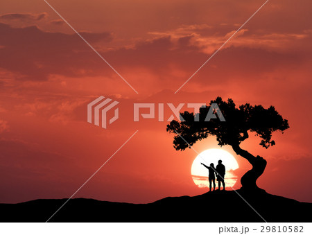 People under the  tree on the background of sun 29810582