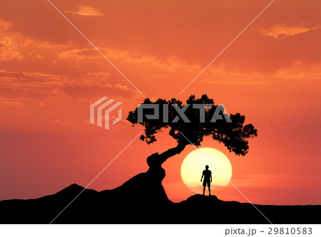 Man under the  tree on the background of sun 29810583