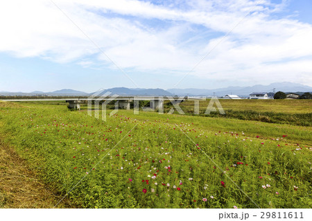 菊池川河川敷き 菊池川河川敷き 29811611