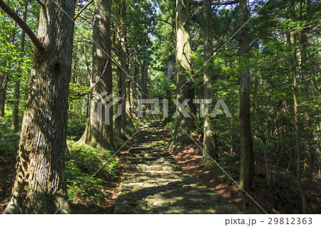 和歌山県・熊野古道・中辺路 大門坂 29812363