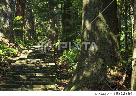 和歌山県・熊野古道・中辺路 大門坂 和歌山県・熊野古道・中辺路 大門坂 29812364