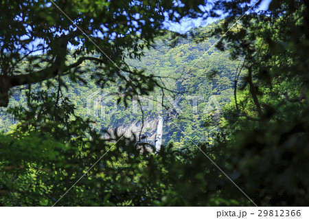 和歌山県・熊野古道・大門坂から見える那智の滝 和歌山県・熊野古道・大門坂から見える那智の滝 29812366