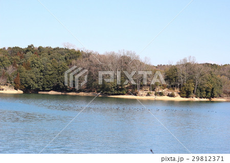 田舎の湖畔 田舎の湖畔 29812371