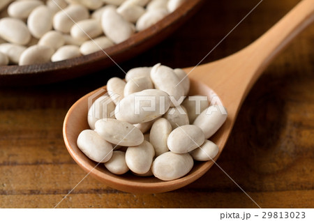 白いんげん 29813023