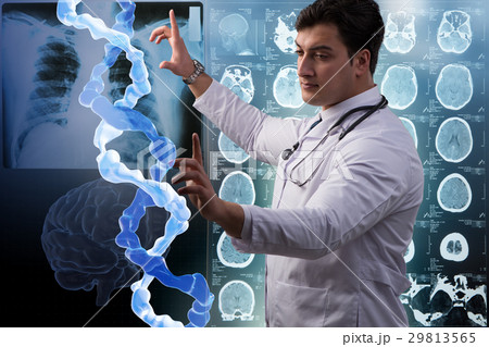 Scientist studying human DNA in lab 29813565