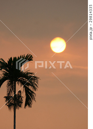 夕日 夕焼け 夕暮れ 29814335