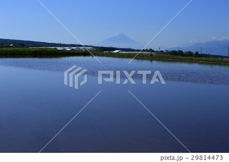 富士見町の農業地域から眺めた富士山 田植え前の田んぼ 富士見町の農業地域から眺めた富士山 田植え前の田んぼ 29814473