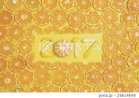 Round Orange Slices Fruit 2017 xmas 29814699