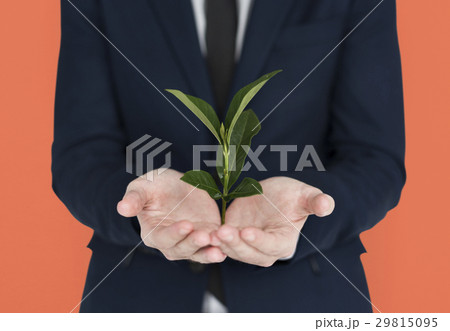 Caucasian Business Man Holding Seedling Caucasian Business Man Holding Seedling 29815095