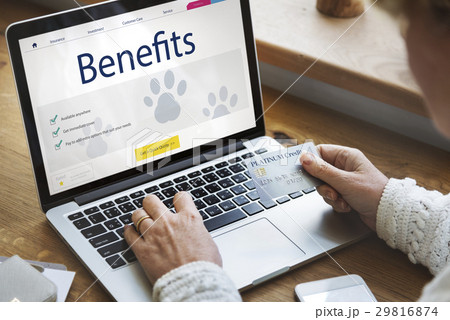 Pet Insurance Protection Compensation Concept Pet Insurance Protection Compensation Concept 29816874