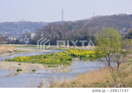 東京郊外　八王子　浅川 29817147
