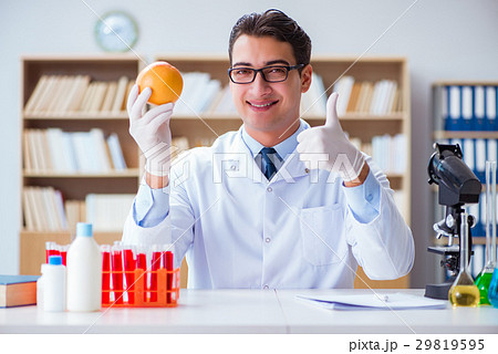 Scientist working on organic fruits and vegetables 29819595