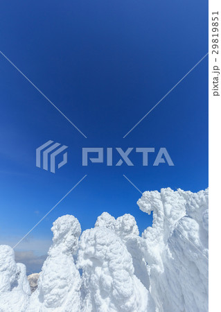 山形蔵王_快晴と樹氷群 29819851