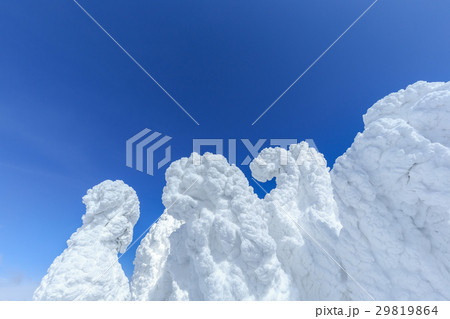 山形蔵王_快晴と樹氷群 山形蔵王_快晴と樹氷群 29819864