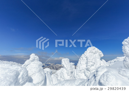 山形蔵王_快晴と樹氷群 29820439