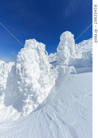 山形蔵王_快晴と樹氷群 山形蔵王_快晴と樹氷群 29820458