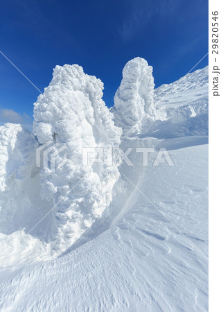 山形蔵王_快晴と樹氷群 29820546