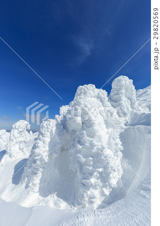 山形蔵王_快晴と樹氷群 29820569