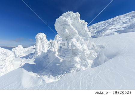 山形蔵王_快晴と樹氷群 29820623
