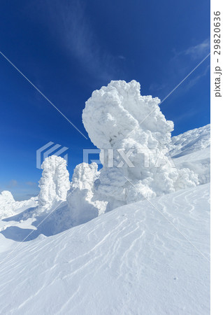 山形蔵王_快晴と樹氷群 山形蔵王_快晴と樹氷群 29820636