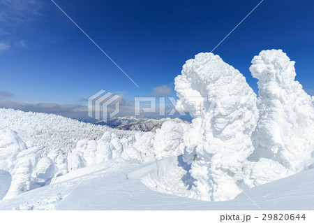山形蔵王_快晴と樹氷群 29820644