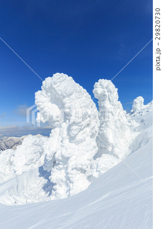 山形蔵王_快晴と樹氷群 山形蔵王_快晴と樹氷群 29820730