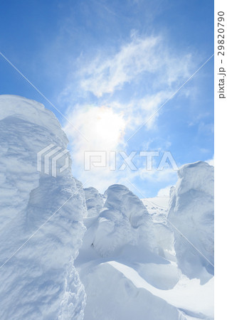 山形蔵王_太陽と樹氷群 29820790