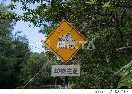 小笠原　動物注意の看板（オカヤドカリ） 29822168