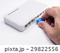LAN network switch with ethernet cables plugging i 29822556
