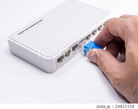 LAN network switch with ethernet cables plugging i 29822556