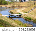 小川の散歩道 29823956