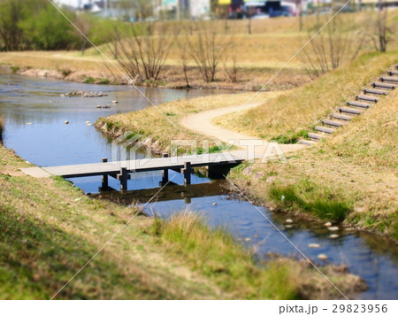 小川の散歩道 小川の散歩道 29823956