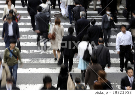 都会の人々 横断歩道 都会の人々 横断歩道 29823958