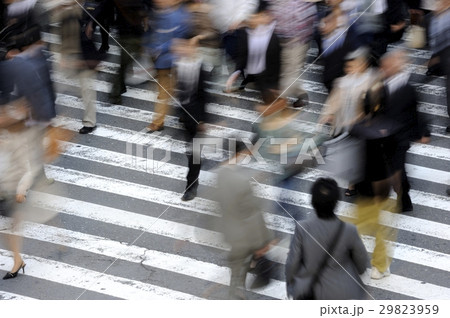都会の人々 横断歩道 都会の人々 横断歩道 29823959