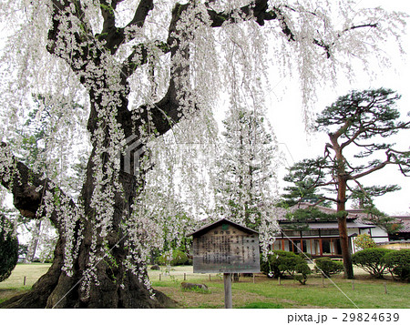 弘前・藤田記念庭園 29824639